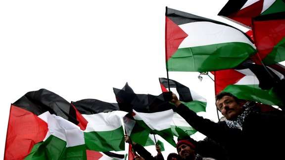 Palestinan flags