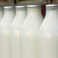 Septiņi piena veidi un to ietekme uz veselību