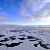 Площадь льдов в Арктике — на рекордно низком уровне
