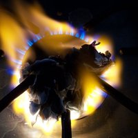 В Польше назвали трагедией полную загрузку "Газпромом" газопровода Opal