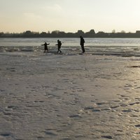 Daugavpilī sirmgalvis uz ezera salauž kāju