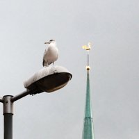 Ko var gaidīt kredītņēmēji, sola tūkstošiem mājokļu, "ChatGPT" ir zirgā: aktuālais ekonomikā 3. oktobrī