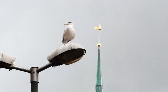 Ko var gaidīt kredītņēmēji, sola tūkstošiem mājokļu, "ChatGPT" ir zirgā: aktuālais ekonomikā 3. oktobrī