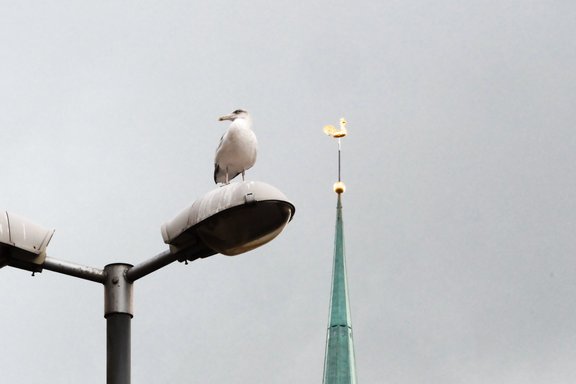 Ko var gaidīt kredītņēmēji, sola tūkstošiem mājokļu, "ChatGPT" ir zirgā: aktuālais ekonomikā 3. oktobrī