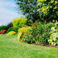 Садовые курсы в мае: полезные лекции и профессиональные курсы