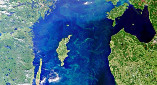 Редкий природный процесс: Балтийское море стало пополняться соленой водой