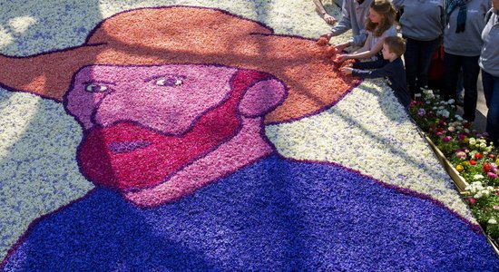 Ziedu gleznas, 'paklāji' un krāšņums vilina tūkstošiem tūristu Keukenhofas dārzā Holandē