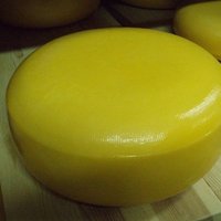 Krievijas muita novērš vairākus apjomīgus siera kontrabandas mēģinājumus