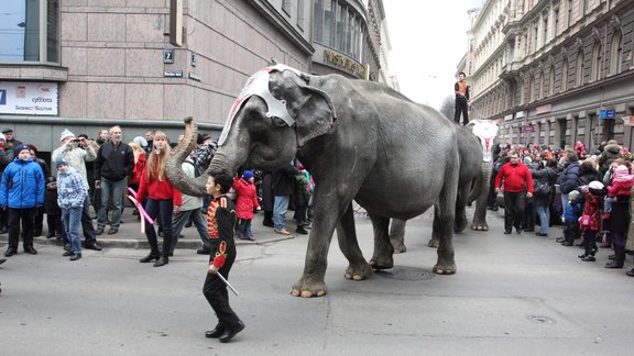 Фоторепортаж: по центру города слонов водили