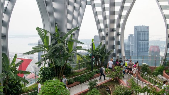 debesskrāpis pastaiga parks Singapūra augi zaļumi