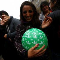 Čīle sākusi aptiekās tirgot uz marihuānas bāzes veidotus medikamentus