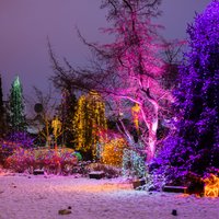 ФОТО: 30 тысяч лампочек или Рождественская сказка в одном из домов Пардаугавы