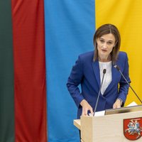 Сейм Литвы не поддержал законопроект о лишении ВНЖ россиян и белорусов, которые часто ездят на родину