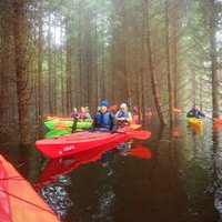 ФОТО: Национальный парк Соомаа в Эстонии, где по лесу и дворам плавают на лодках
