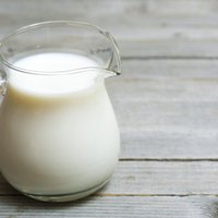 Kāpēc no paku piena nesanāk rūgušpiens? Skaidro profesore
