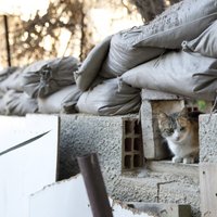 Šogad varētu notikt Kipras atkalapvienošanās, uzskata Turcija un ASV