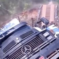Video: Brazīlijā kravas auto vadītājs pārvērtē koka tilta izturību