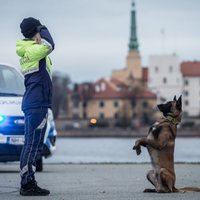 Foto: Drošības iestāžu kinologu fotosesija par godu 18. novembrim