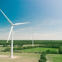 'Elwind' vēja parku ietekmes uz vidi novērtējuma veikšana varētu aizņemt divus līdz trīs gadus