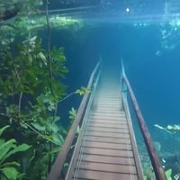 Video: Dabas taka Brazīlijā, kas spēcīgu nokrišņu dēļ uz brīdi pārtapa zemūdens paradīzē