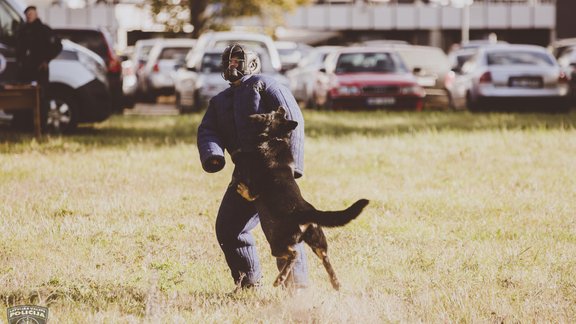 Policijas suns Nato - 6