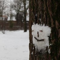 На востоке Латвии начинается метеорологическая зима