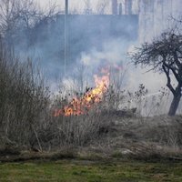 VUGD saspringta piektdiena - dzēsti 203 kūlas ugunsgrēki; vienā savainojies ugunsdzēsējs