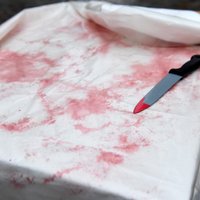 Нападение юношей в масках на школу в Перми: ранены 14 учеников и учительница