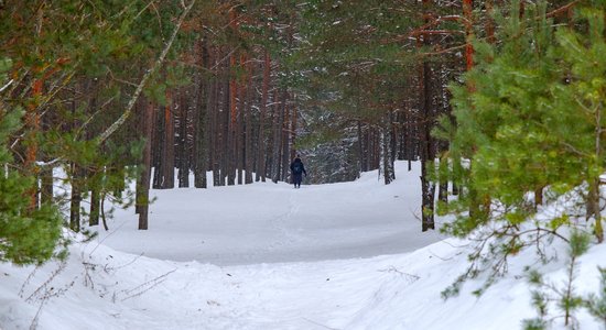 Atpūta brīvdabā – daudzveidīgie un unikālie dabas parki Latvijā