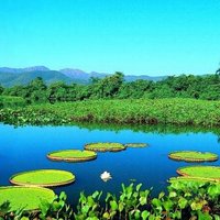 Iepazīsti Brazīliju: Pantanāla – pasaules biosfēras rezervāts un cilvēces mantojums