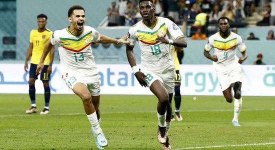 ЧМ-2022: Сенегал и Нидерланды — в 1/8 финала, Луи ван Гал стал мировым рекордсменом