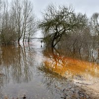 Lielākie plūdi ir Daugavas labajā krastā – Krustpils pagastā
