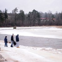 Ledus no Ogres upes izlauzis ceļu uz Daugavu
