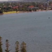 Video: Austrālijā lidmašīna ar slaidu loku iekrīt ūdenī; trīs bojāgājušie