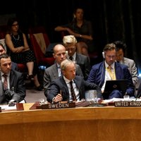 Отравление Скрипалей: Россия и Британия обменялись выпадами в Совбезе ООН