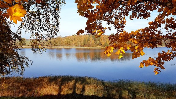 Zelta rudens Latvijā