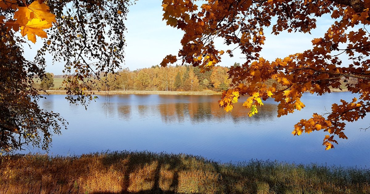 Kur meklēt zelta rudeni? 18 nacionālie dārgumi Latvijas ainavās