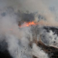 Turpinās vismaz 300 hektāru plašā ugunsgrēka dzēšana Ādažu poligonā