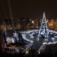 ФОТО: В Вильнюсе зажглись огни на главной елке Литвы
