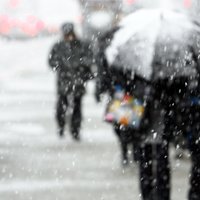 Синоптики предупреждают о сильной снежной буре: в Латгале и Видземе выпадет до 12 см снега