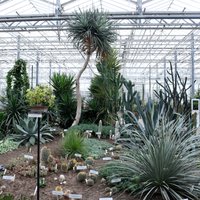 Ekspozīciju ierobežojumi un atceltas ekskursijas: Botānisko dārzu darbība ārkārtas situācijā