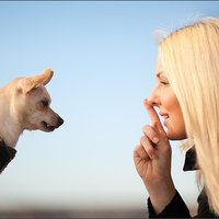 Kā piktais suņu aprējējs Snifs kļuva par priekšzīmīgu čempionu