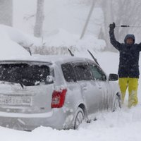 В Эстонии бушует шторм: повалены деревья, нарушено электроснабжение