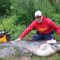 Литовский рыбак поймал гигантского двухметрового сома