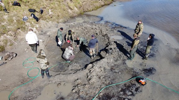 Pieci mūžīgajā sasalumā atrasti 'zombiji' – seni vīrusi, kas laboratorijās atdzīvojas