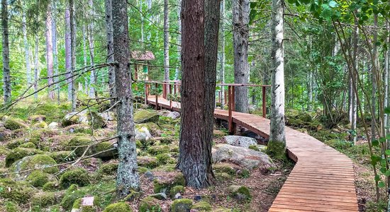 Unikālie Latvijas piekrastes laukakmens krāvumi – Kaltenes kalvas