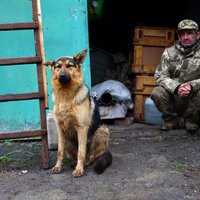 Krievijas dzīvā spēka zaudējumi sasniedz 181 550, ziņo Ukraina