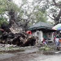 Taifūns 'Rammasun' Filipīnās dzēsis vismaz 38 cilvēku dzīvības