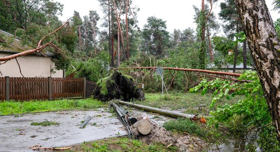 Как Юрмала приходит в себя после бури. Репортаж Delfi