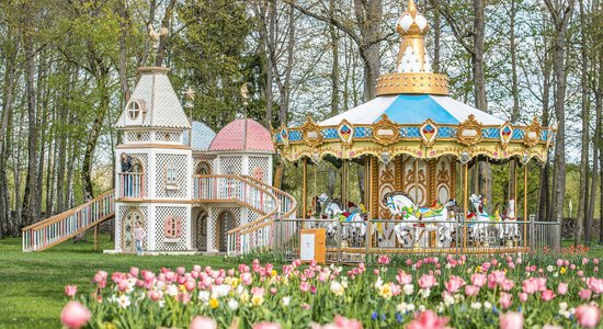 В эти выходные в Пакруойской усадьбе заработает Фестиваль тюльпанов и весенних цветов